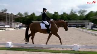 Championnat des 5 ans : Dorian Grey de Hus survole Saumur