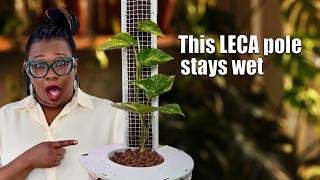 Self Watering Leca Pole | The Setup That Actually Works!