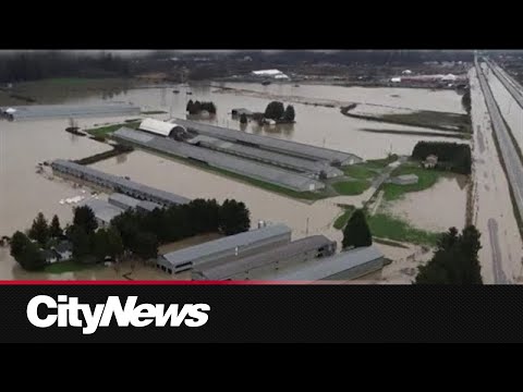 B.C. officials warn Fraser Valley residents to prepare for further flooding