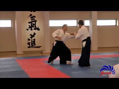 Haru Gasshuku Shihan Shoji Seki 8 dan 2014 - Techniki