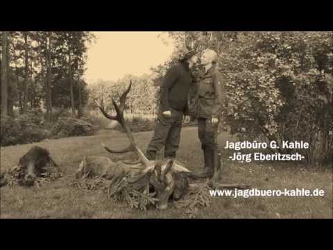 Gemeinsam die Hirschbrunft erleben!