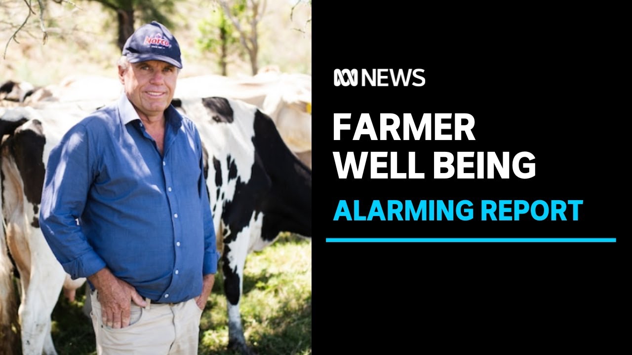 Alarming report on farmer mental health prompts call for urgent action | ABC News