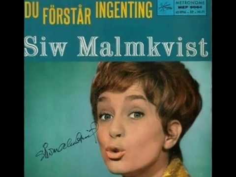 Du förstår ingenting