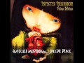 Infected Mushroom - Special Place