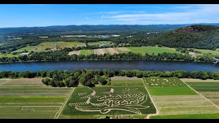 Mike's Maze at Warner Farm, Sunderland, MA