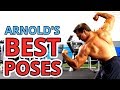Arnold's BEST Bodybuilding Poses feat. John Hansen (Perfect Physique)