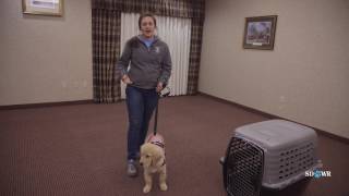 SDWR Training House Training