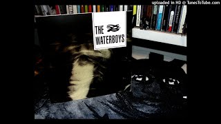 The Waterboys - i will not follow