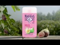 Le Gel Douche Le Petit Marseillais à La Figue