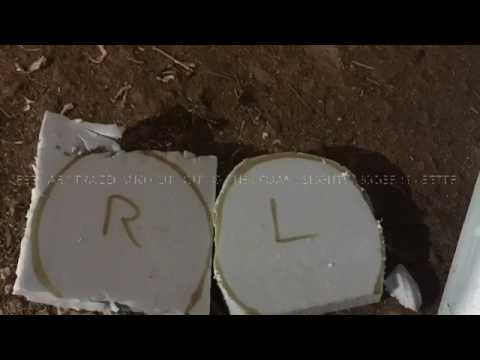 Laminitic pony emergency treatment