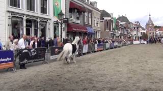 preview picture of video 'Paardenmarkt Vianen'