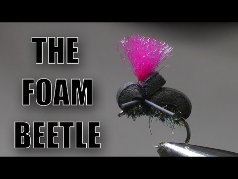 The 'Foam Beetle '