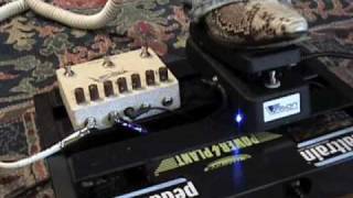 Video thumbnail for Wilson Effects Wah & Stoned Grasshopper guitar effects pedal demo w Strat & Dr Z MAZ by gearmanndude