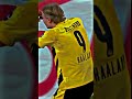 Erling Haaland is crazy! Incredible Volley Goal in Schalke vs. Dortmund