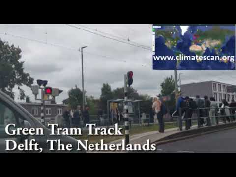 Green Tram Track Delft The Netherlands