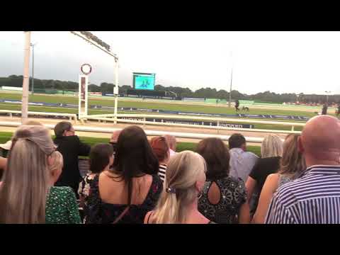Star Sports Greyhound Derby: FINAL NIGHT