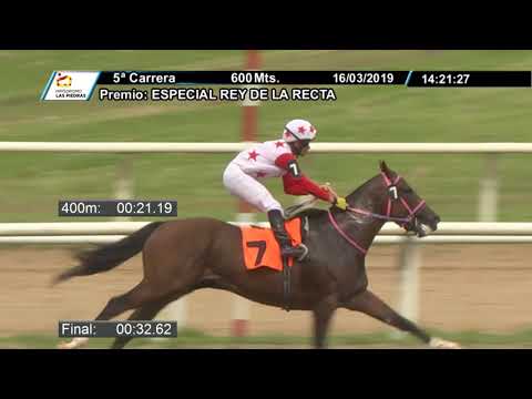 16/03/2019 – Hipodromo Las Piedras – Carr 5 – ESPECIAL REY DE LA RECTA