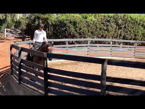 Leão Plus   by   Escorial / Açúcar / Solar