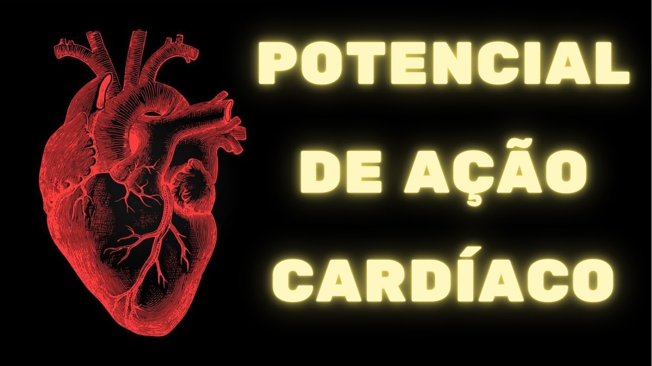 Potencial de ação cardíaco e contração do coração – Fisiologia Humana