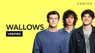 Wallows &quot;Are You Bored Yet?&quot; Official Lyrics &amp; Meaning | Verified