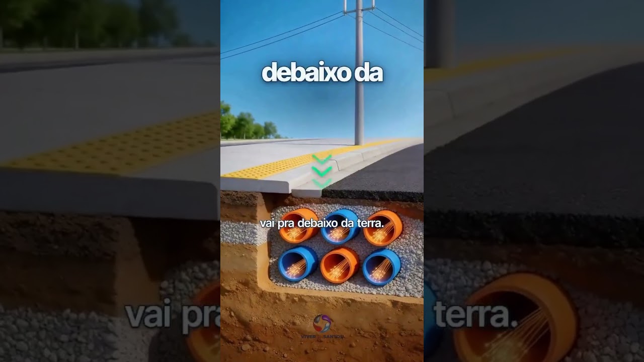 Prefeitura de Santos anuncia rearborização e melhorias na avenida da orla.