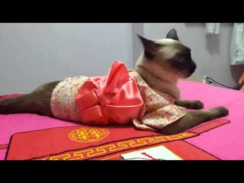 Bubu says sayang to ibu