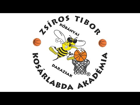 MISKOLCI SI VADMACSKÁK – DARAZSAK SPORTAKADÉMIA/B