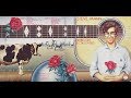 Steve Mann - Cow Cow Blues