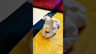 The best way to cruise the Caribbean! ❤️