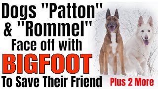 3 Bigfoot Encounters