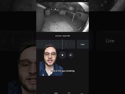 Update On the Time Traveler That Went Into My Shed and Went To the Future