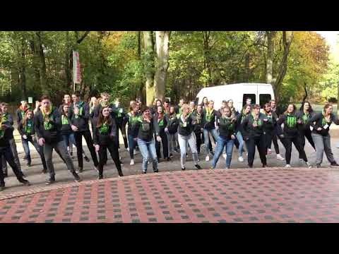 Jaardans Kazou RMT 2019