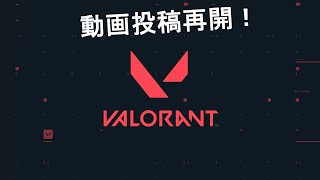 活動再開！【VALORANT】