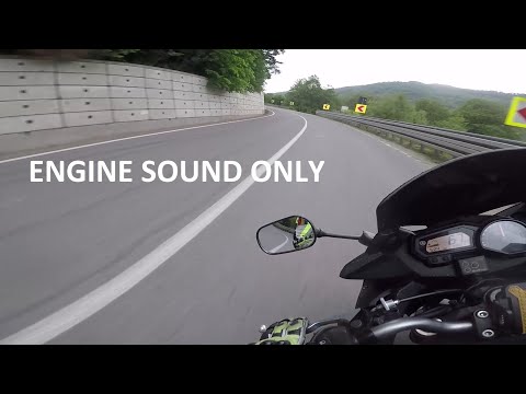 Ojdula - Lepsa, Romania, raw sound - cut version