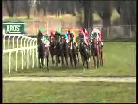 1005 56. VELKÁ DUBNOVÁ CENA FACTORINGU ČESKÉ SPOŘITELNY, a. s.