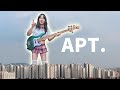 APT Bass Cover