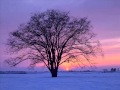 Winter Sonata My Memory/Yiruma 