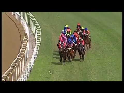 2018.07.28 Thekwini Stakes (RSA) - Return Flight