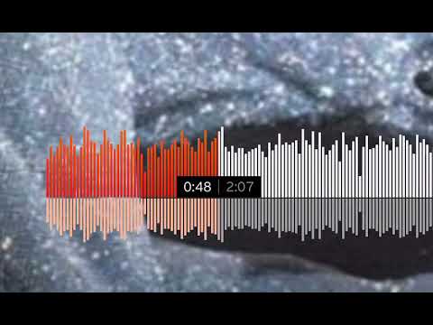 Catra Martinex × Glasond × Lil Fabris - MURDER RATE (prod. Young Kid & Ksub // 2nd Snippet)