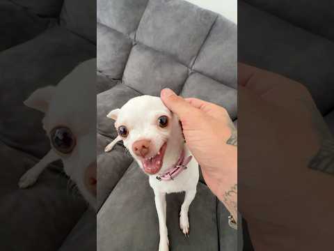 She got me with the Kuchi Kuchi🤣🤣