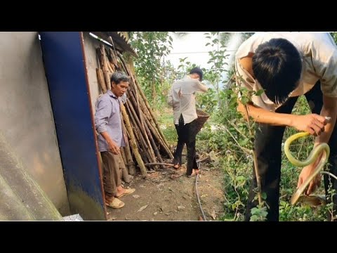 FULL video The wandering boy's 120 difficult days of building a house alone