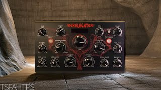 This is a bit GORGEOUS…!!! Echolocator Precision Delay - Erica Synths + 112dB