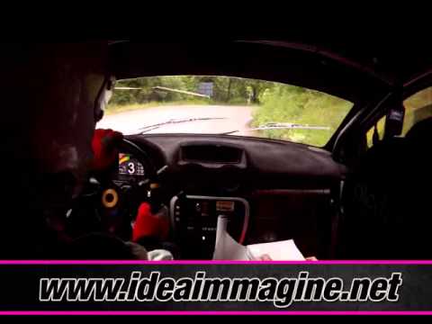 RALLY CASCIANA 2013 VOLPI - NICCOLAI WWW.IDEAIMMAGINE.NET