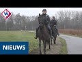 Ruiters pleiten voor 700 kilometer nieuwe ruiterpaden in provincie