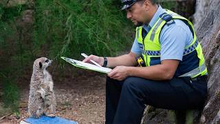 When Animals Get Way Too Close to the Police! 😂