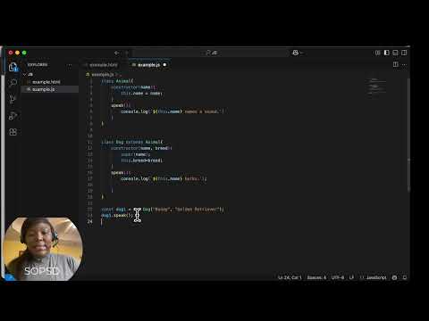 Week 5 Lesson 1 Javascript Object Oriented Programming