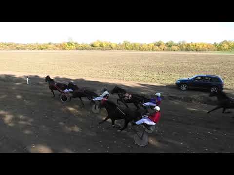 Trka "Konjički klub Pomoravlje-Velika Plana” 24.10.2021 Achille Rayan - Miodrag Pantić