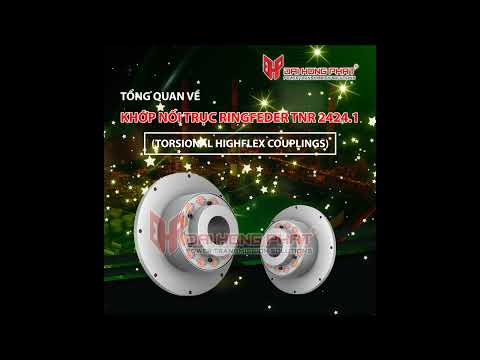 TỔNG QUAN VỀ KHỚP NỐI TRỤC RINGFEDER TNR 2424.1 (TORSIONAL HIGHFLEX COUPLINGS)
