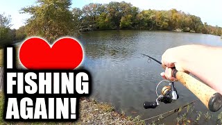 I Like BASS FISHING Again Thanks to THESE Lures!