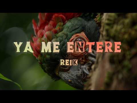 Reik - Ya Me Entere (Lyrics/Letra)
